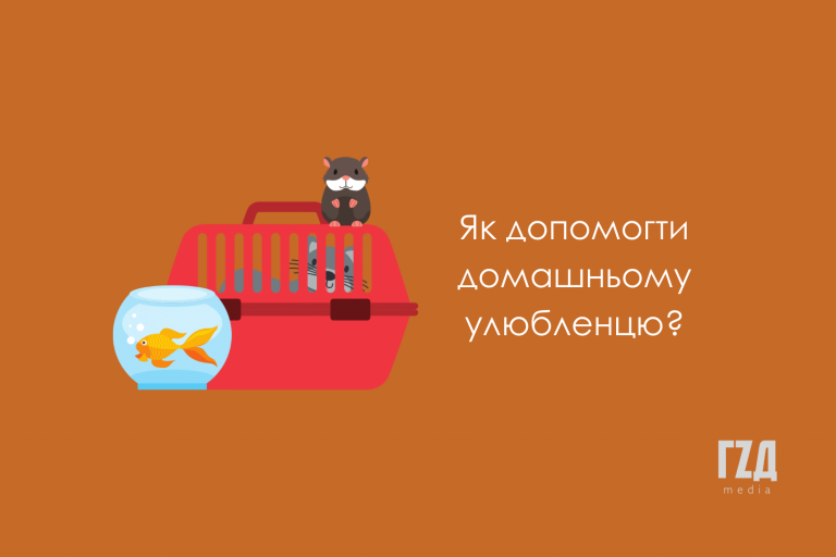 Як під час війни допомогти домашнім тваринам?
