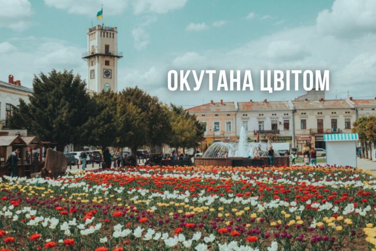 Окутана цвітом сакур: фоторепортаж з весняної Коломиї