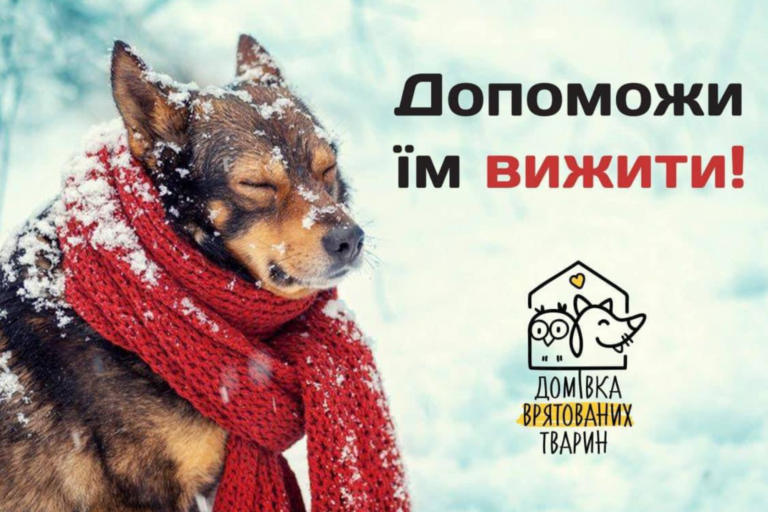 На Львівщині відбудеться акція “Миколай в Домівку”, щоб допомогти тваринам