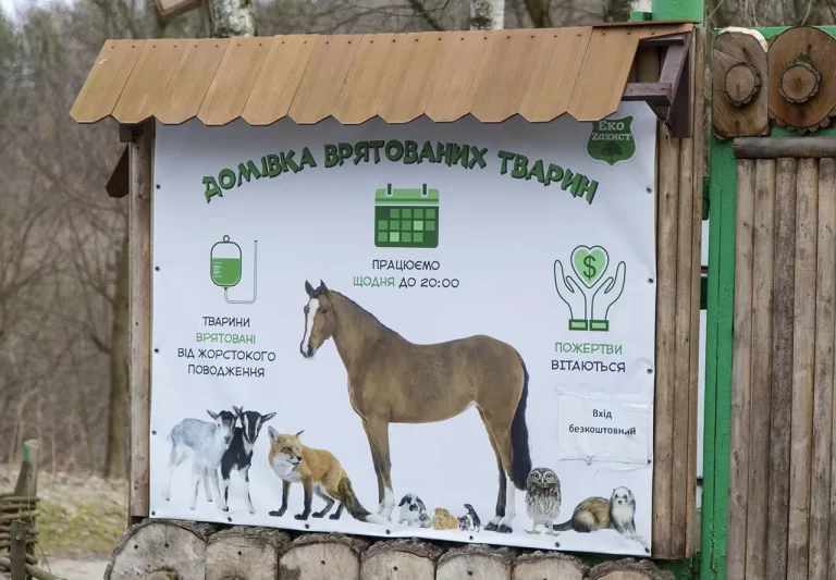 У Домівці врятованих тварин відремонтували спецприміщення для лікування та перебування тварин
