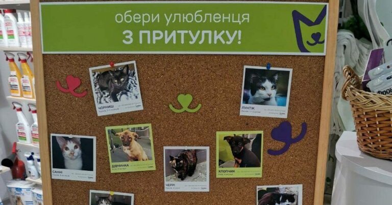 У магазинах MasterZoo можна “усиновити” домашнього улюбленця