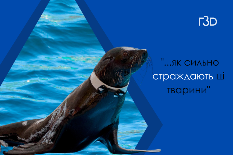 З океану на диван: як морські котики потрапили до готельного номера?