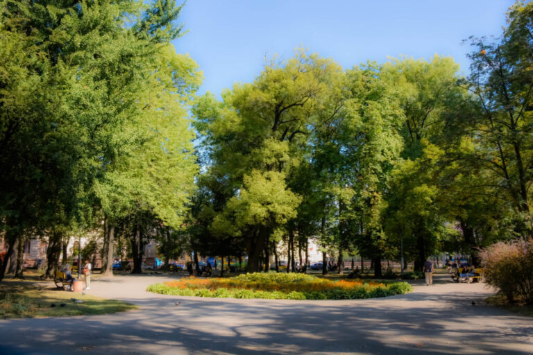 У Чернівцях реставрують сквер Вишиванки