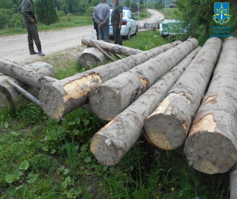 На Львівщині чоловік без спеціального дозволу  незаконно вирубав дерева заповідного фонду майже на мільйон гривень